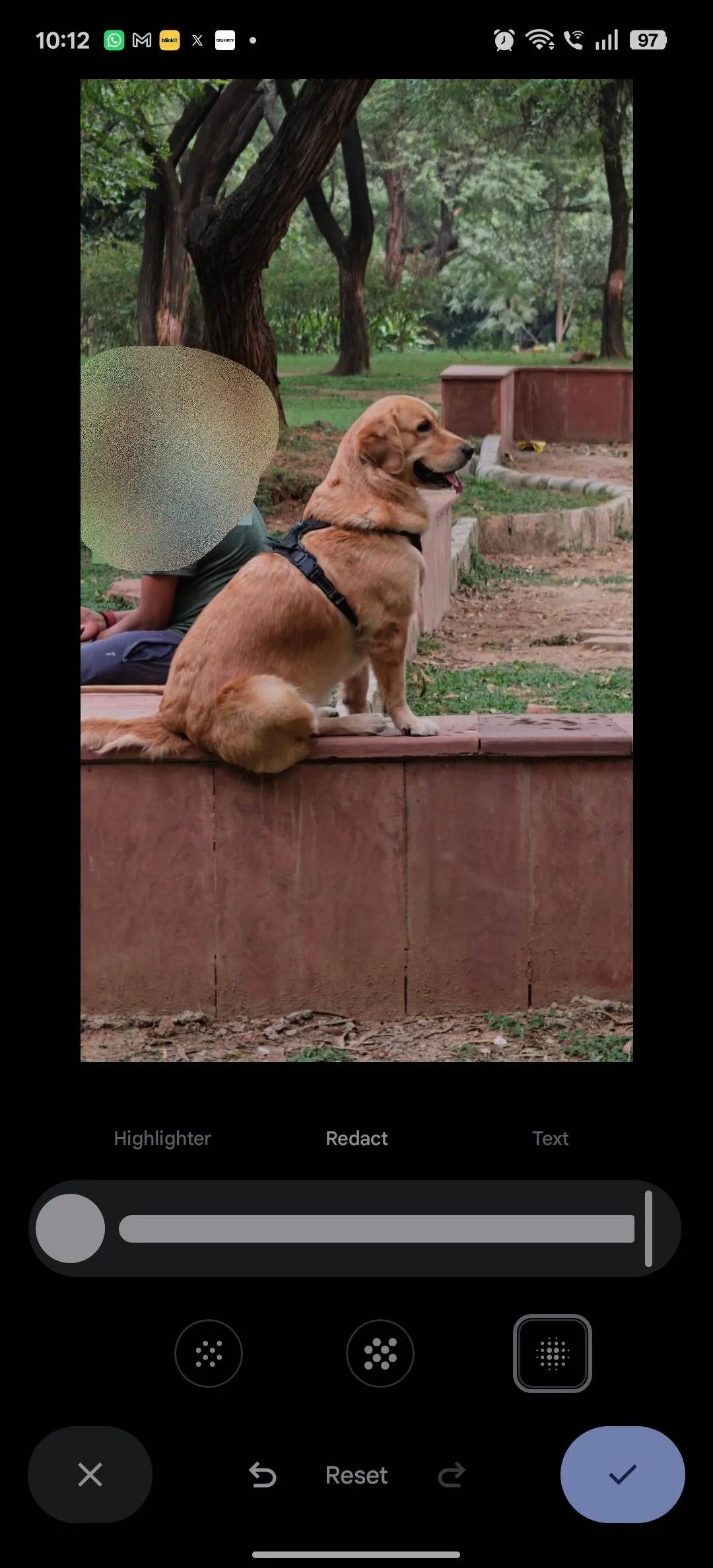 A face blurred with the Blur style in Google Photos