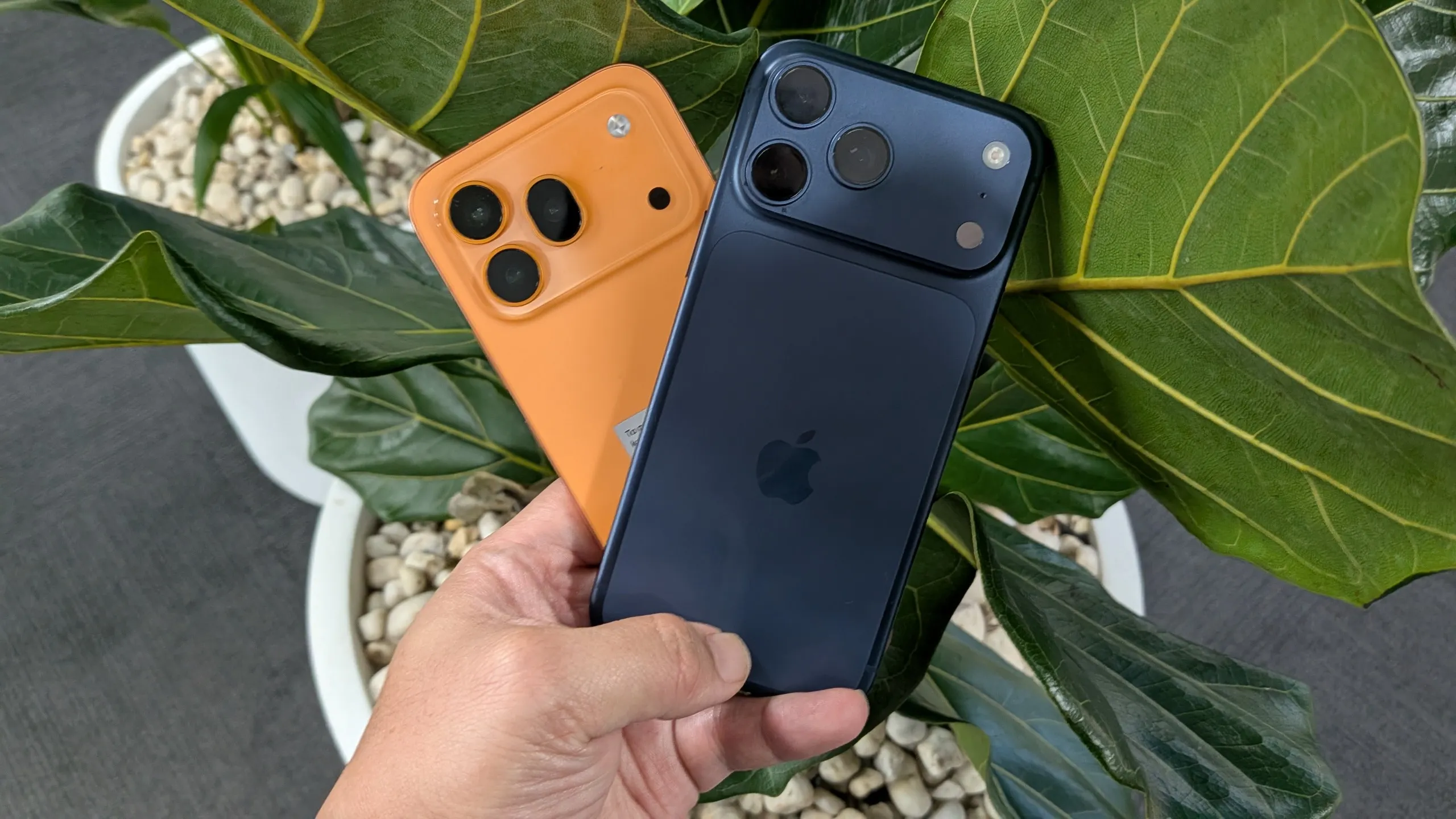 El Honor 600 Pro y un iPhone 17 Pro Max comparados por su módulo de cámara