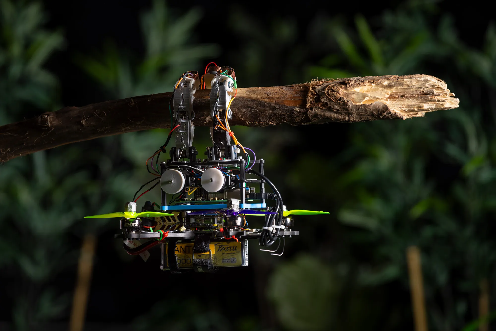 Drone with flexible fingers hanging from a tree branch
