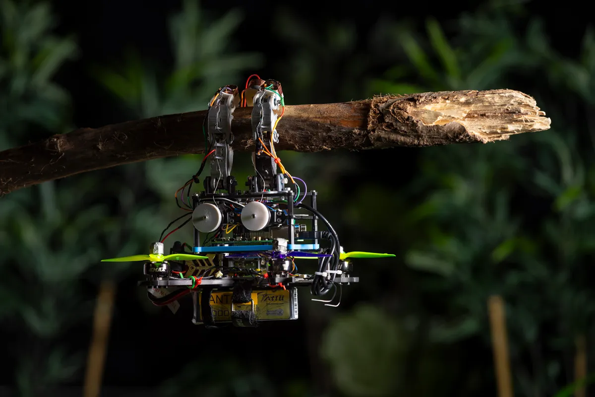 Drone with flexible fingers hanging from a tree branch