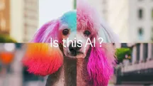 Imagen compuesta de un perro con el pelo de colores y el texto «¿Esto es IA?»