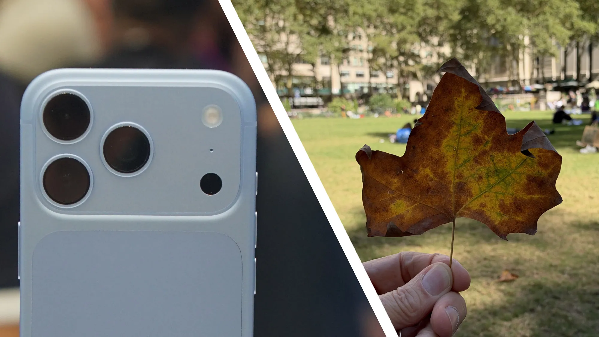 Fotografía de una hoja seca tomada con la apertura variable del iPhone 18 Pro Max