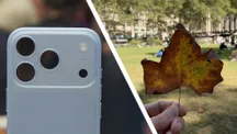 Fotografía de una hoja seca tomada con la apertura variable del iPhone 18 Pro Max