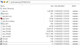 Captura con la estructura de carpetas de un juego de PS5