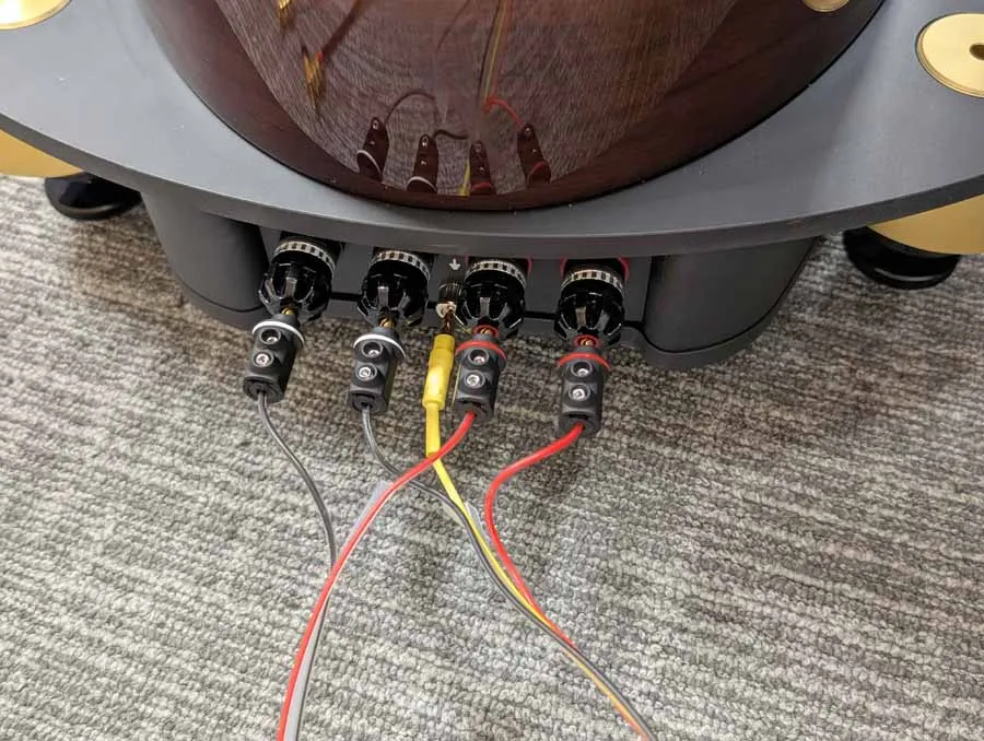 Detalle de los terminales biaamplificables WBT Nextgen y el terminal de masa en la parte trasera