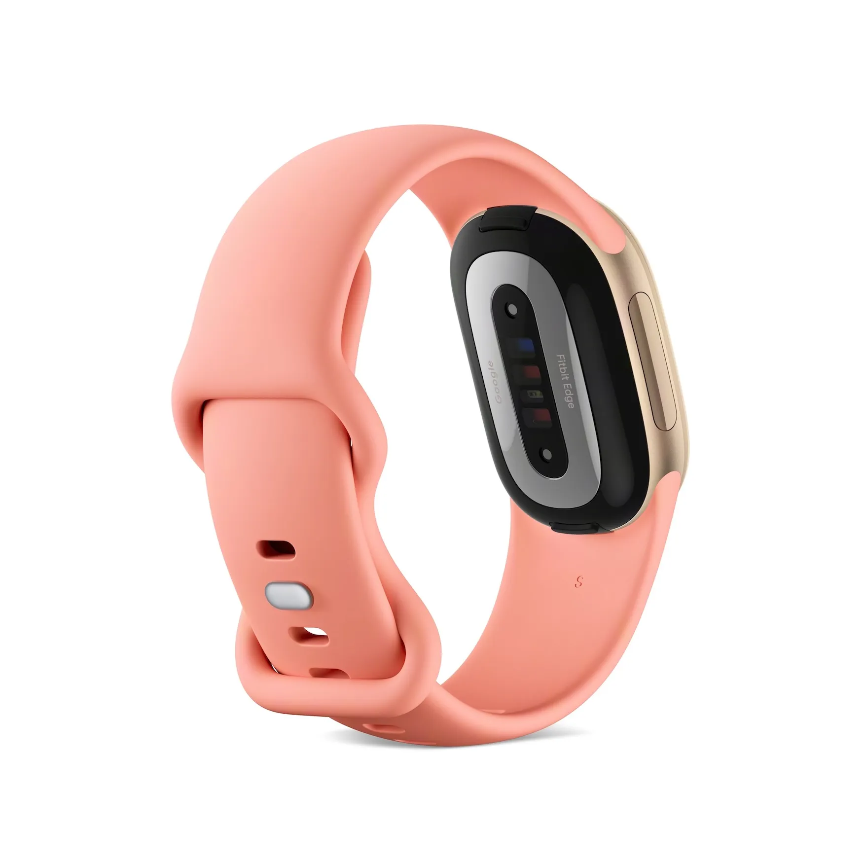 Fitbit Edge con correa Canyon, vista trasera