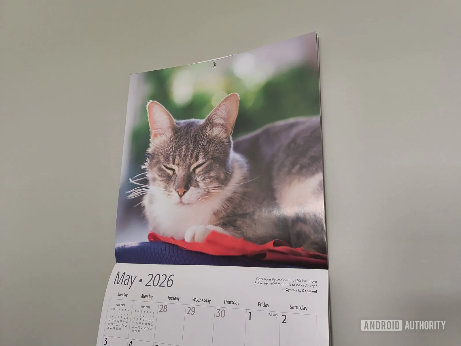 Foto de un calendario con un gato tomada con el Motorola Razr 2026