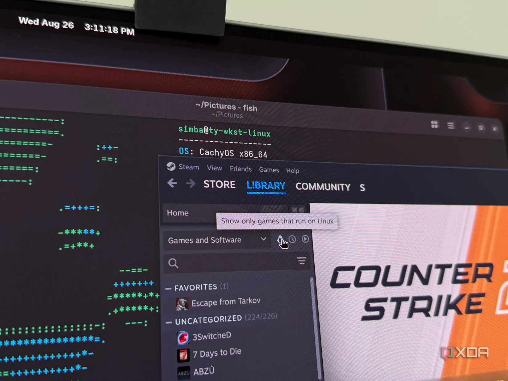 Biblioteca de Steam en Linux con la sección de juegos