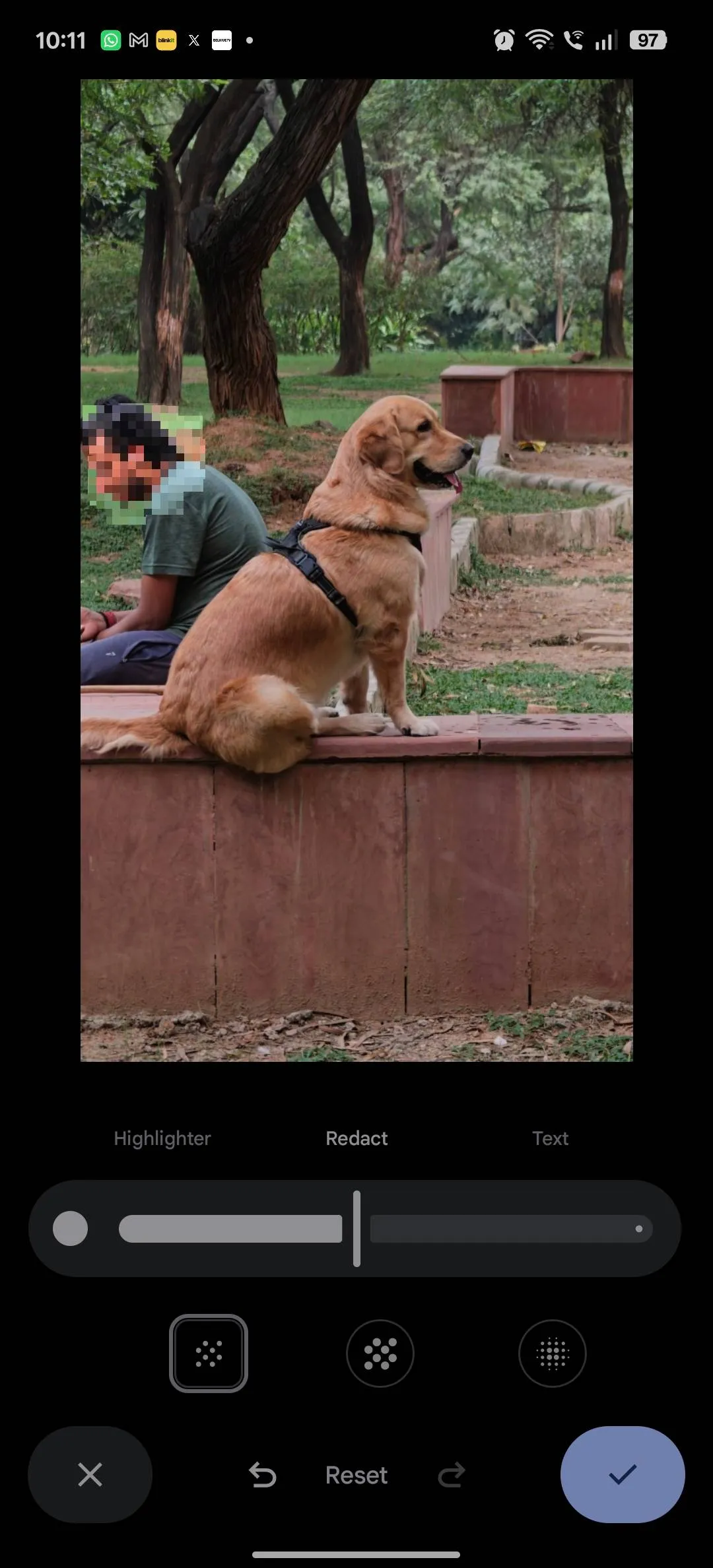 A person next to a dog with the face redacted using the Mosaic style in Google Photos