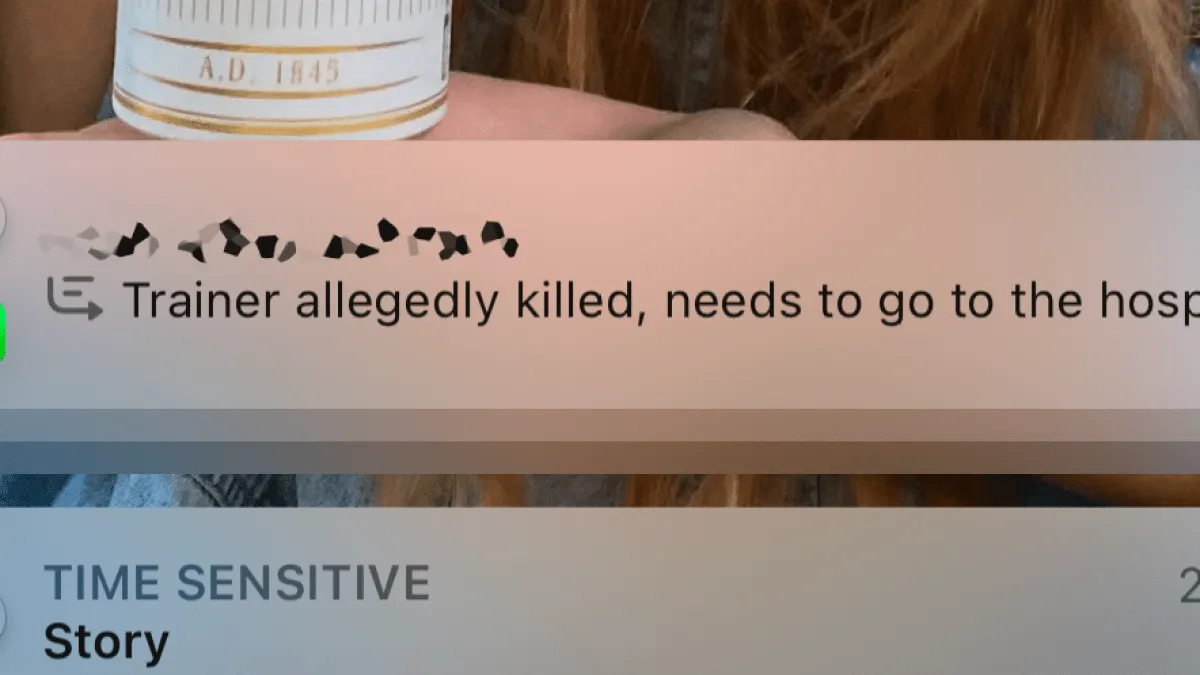 Resumen de notificaciones generado por Apple Intelligence en un mensaje