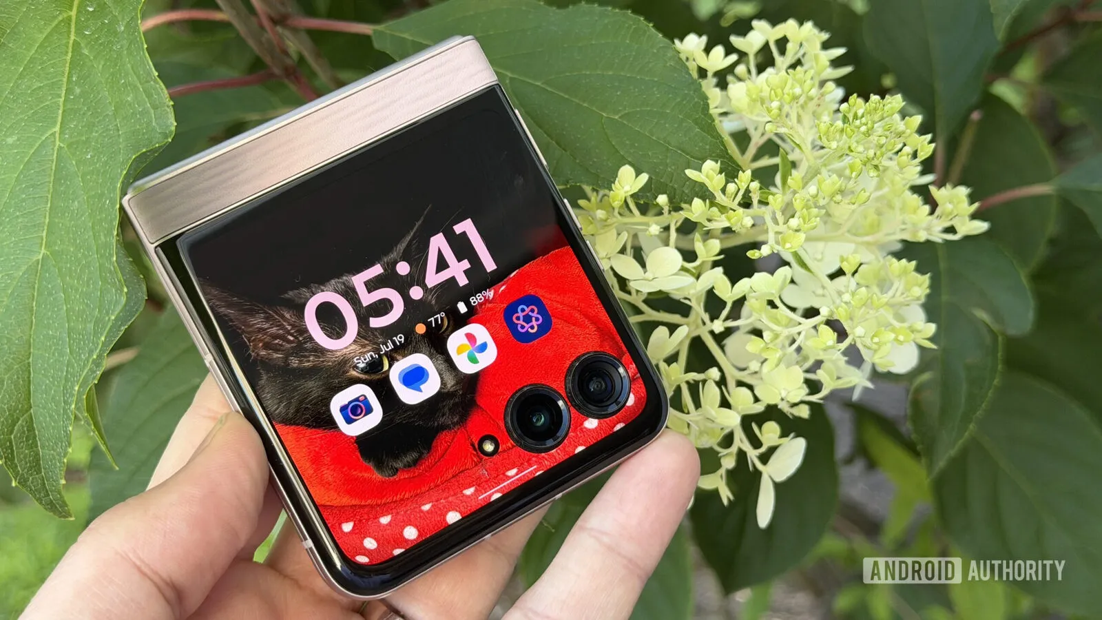 Pantalla exterior del Motorola Razr 2026 mostrando flores